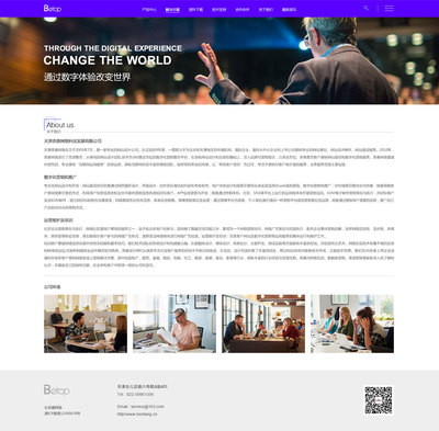 155-軟件開發網站案例