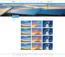 天津網(wǎng)站開發(fā) 能源化工官網(wǎng)