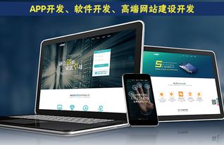 天津軟件開發(fā)網(wǎng)站開發(fā)的語言概念